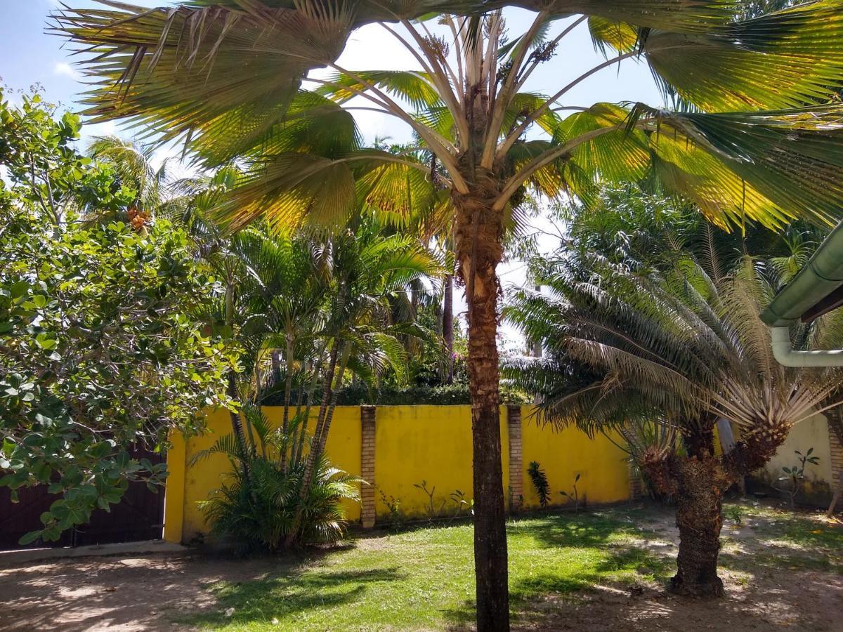 Hotel Pousada Porto Do Colibri Pôrto das Galinhas Eksteriør bilde